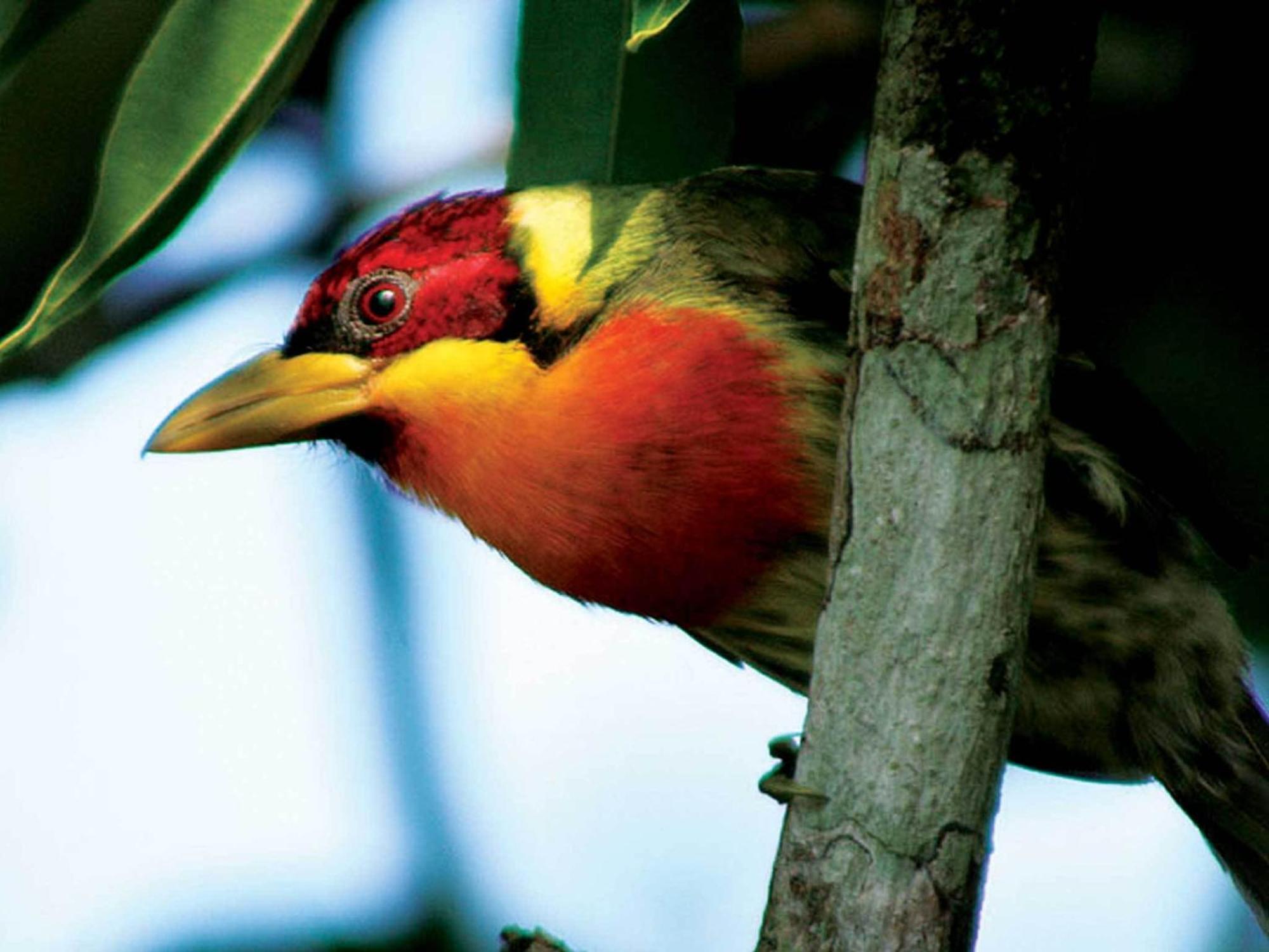 Inkaterra Reserva Amazonica Puerto Maldonado Eksteriør bilde