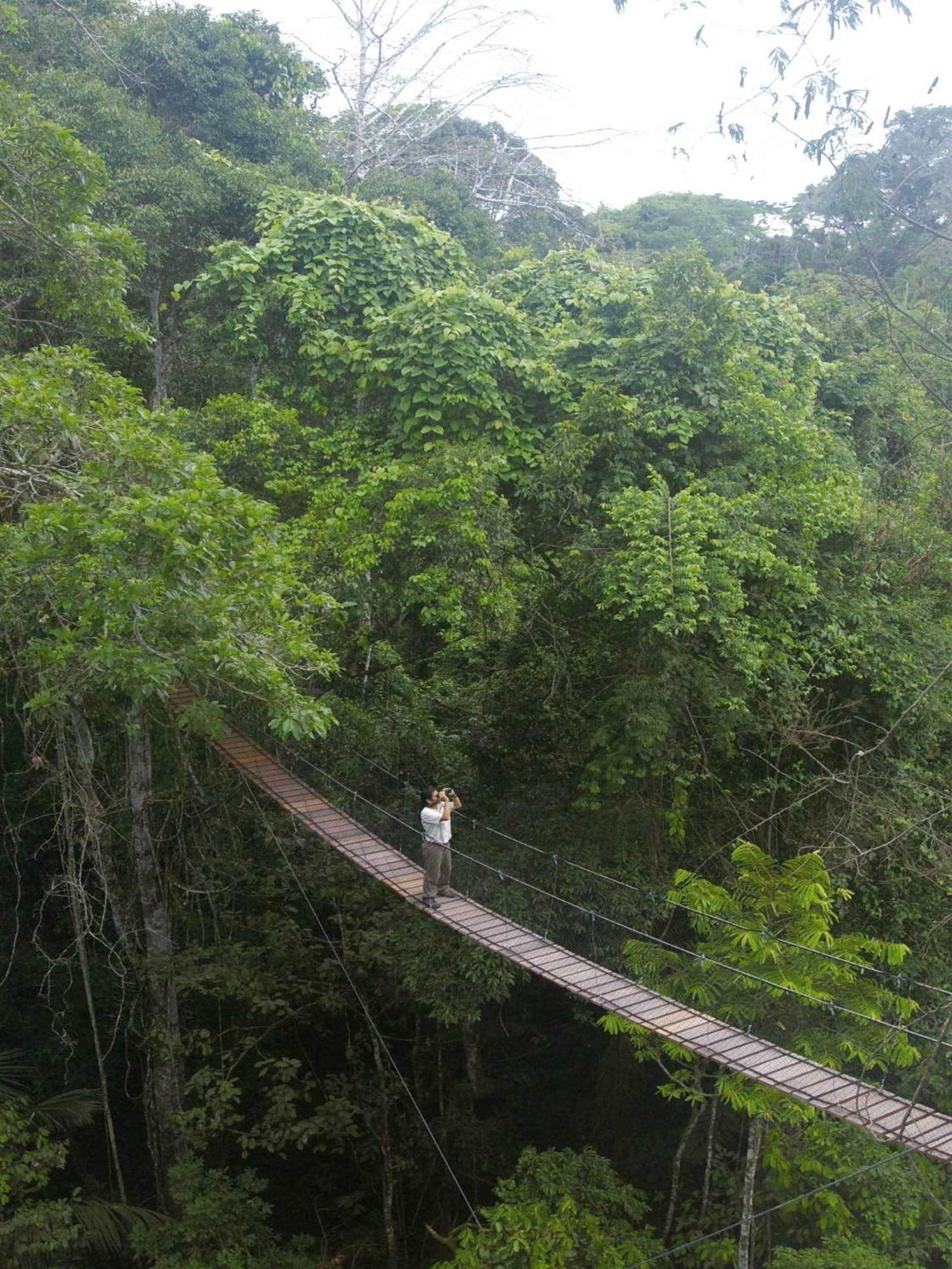 Inkaterra Reserva Amazonica Puerto Maldonado Eksteriør bilde