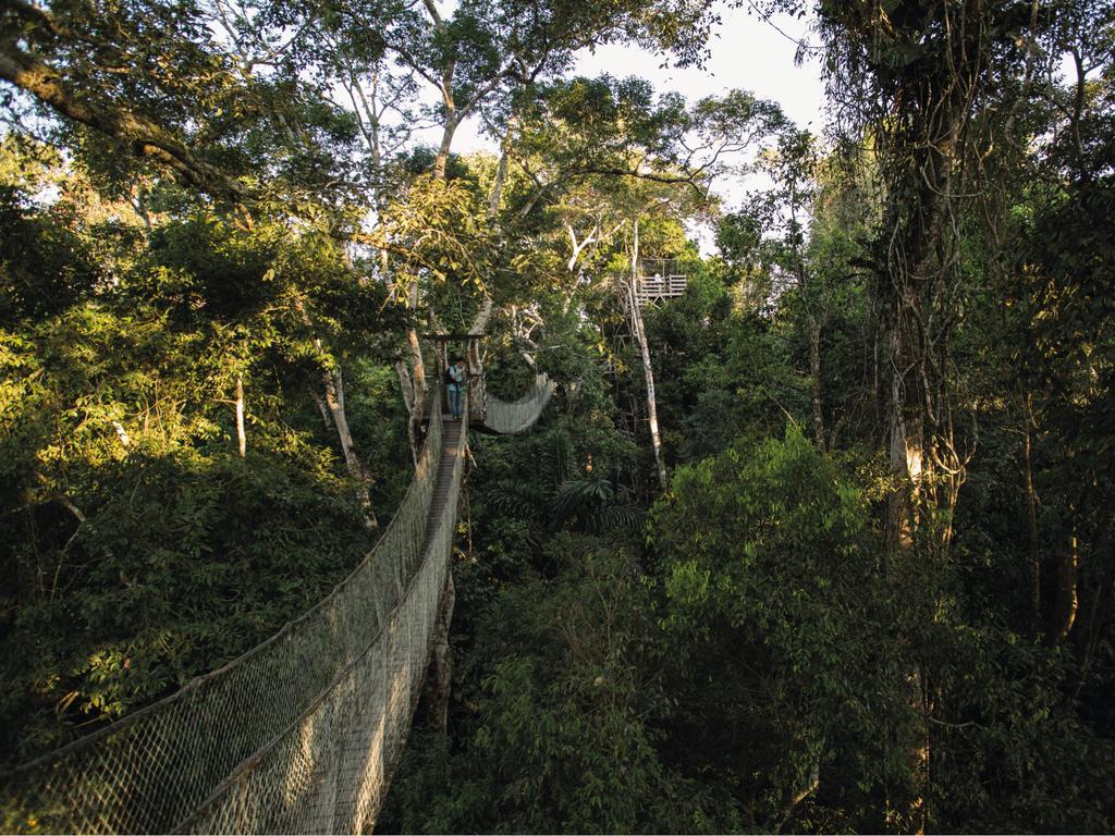 Inkaterra Reserva Amazonica Puerto Maldonado Eksteriør bilde